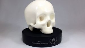 Little_Black_Book_skull_award (1).jpg